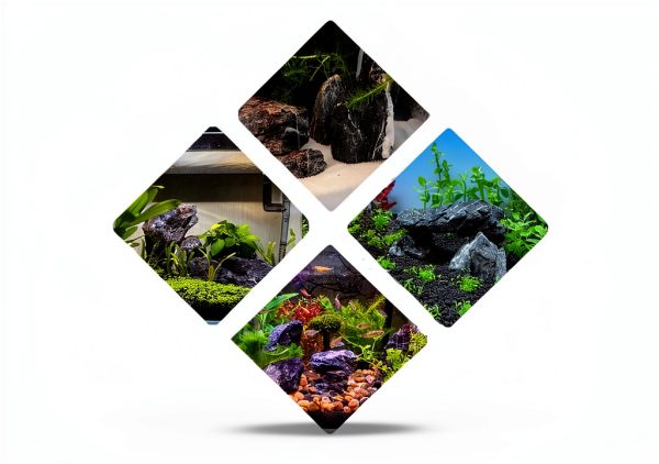 Seiryu Stone Aquarium Rock by ChaoLeHo Natural Slate - 20lb & 5lb-5