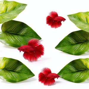 Betta Fish Leaf Hammock 4 Pack Double Leaf Design by CousDUoBe-0